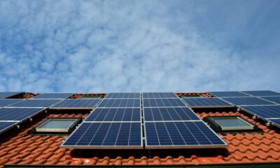 Is buying solar leads worth it?