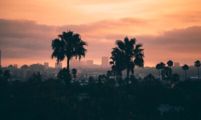 After Hollywood Screenings Film Festival- Ariel Lavi will be a Judge at Sunset Film Festival