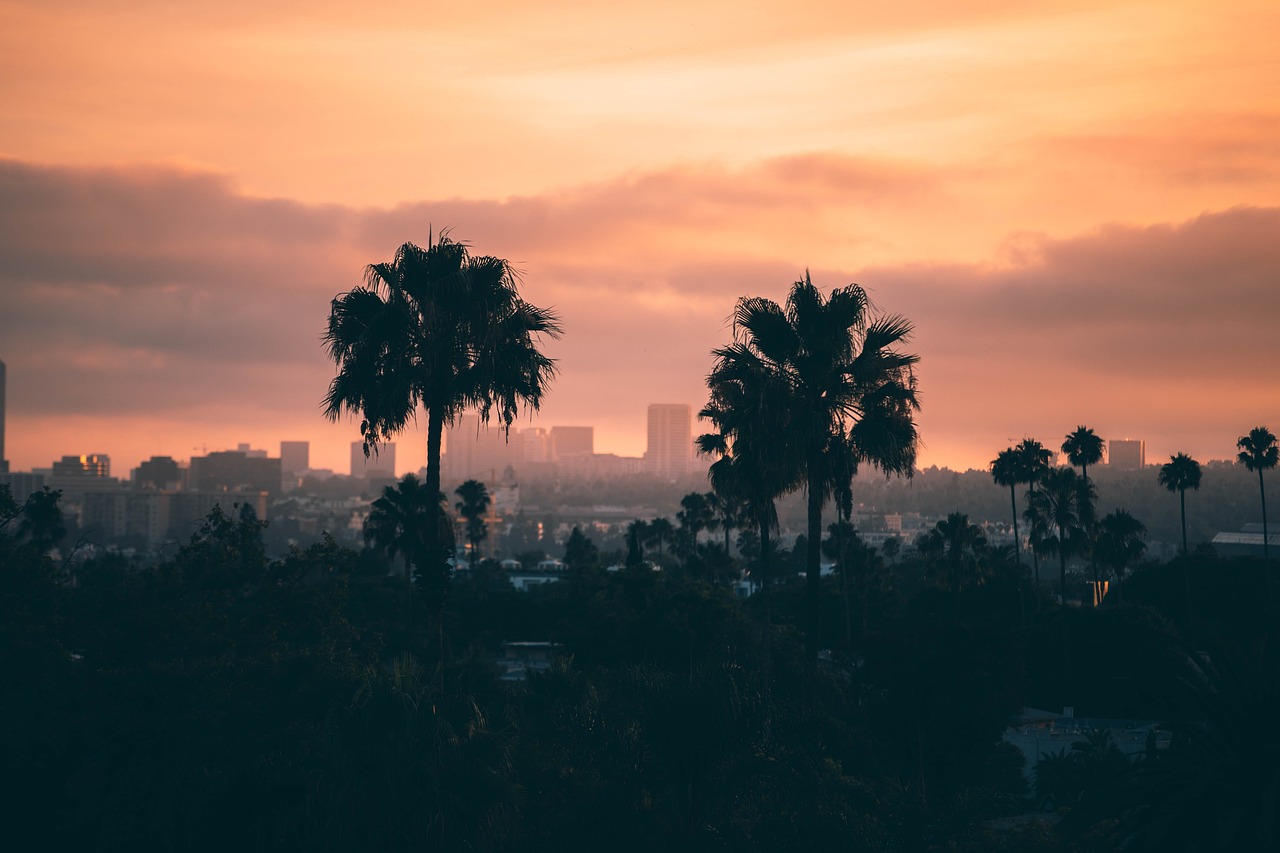 After Hollywood Screenings Film Festival- Ariel Lavi will be a Judge at Sunset Film Festival